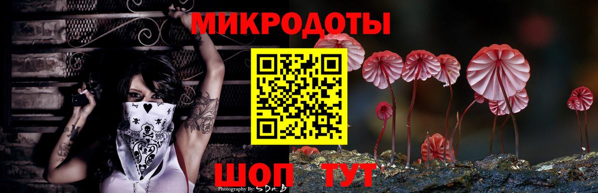 Галлюциногенные грибы Psilocybe  Вход с VPN  Самара 