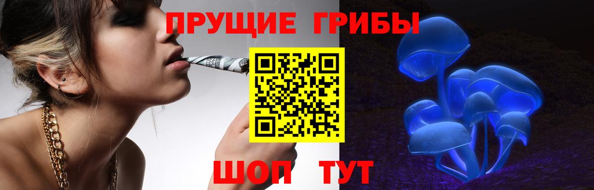 Галлюциногенные грибы Magic Shrooms Самара